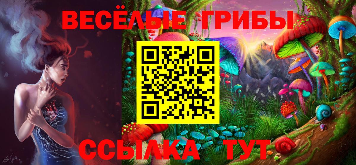 Галлюциногенные грибы мухоморы Карачаевск