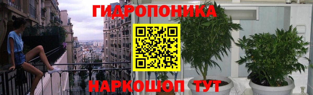 Каннабис план  Бошки марихуана OG Kush  Вход с VPN  Карачаевск 